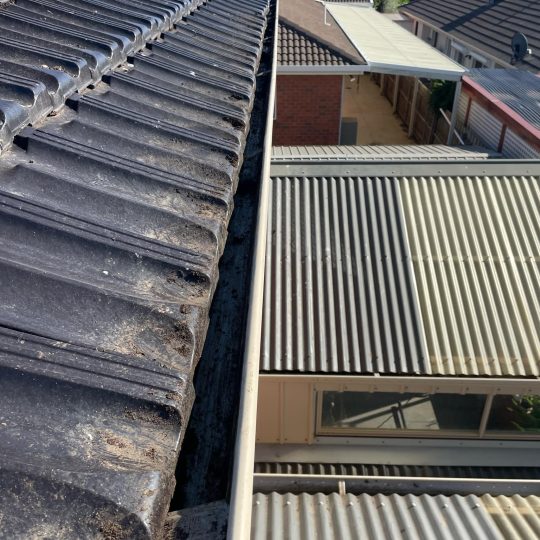https://auchencleaningservices.com/wp-content/uploads/2025/05/2fa7fc8e-da2f-4e7c-aae2-b023f4b19899-540x540.jpeg